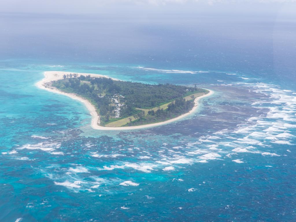 Bird Island von oben