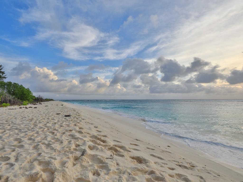 Strand am Bird Island