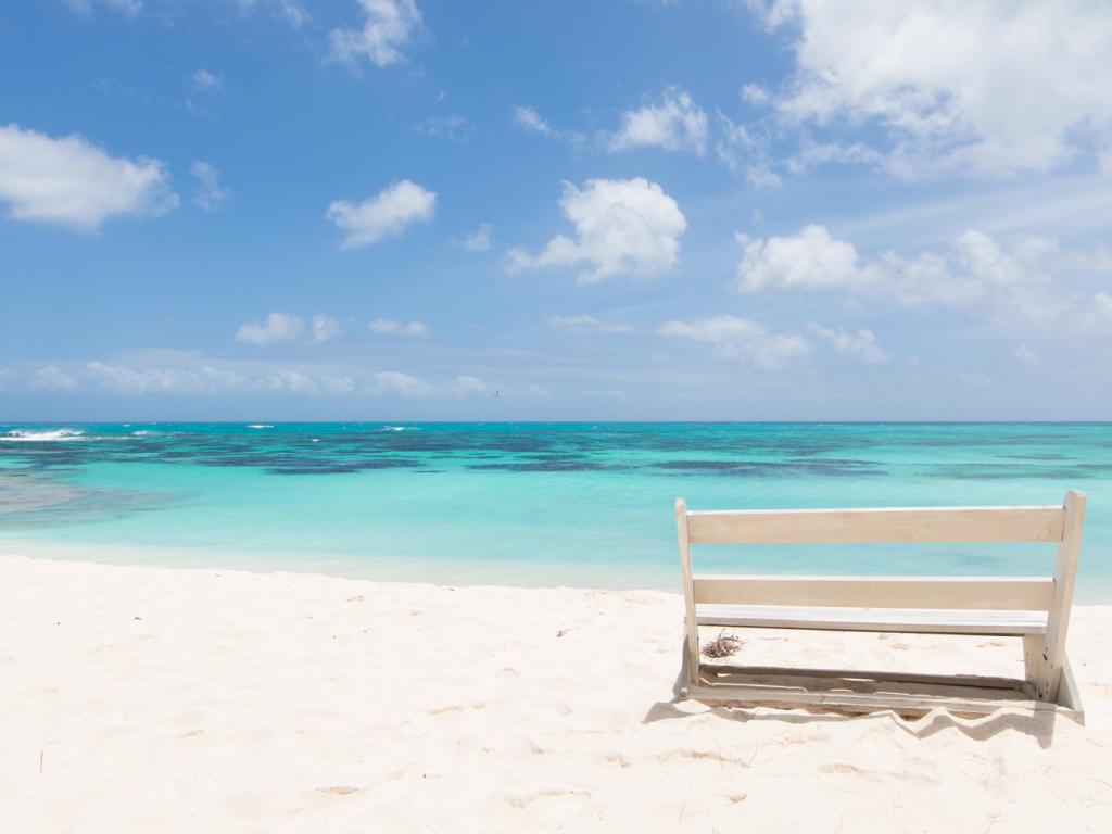 einsamer Strand auf Bird Island