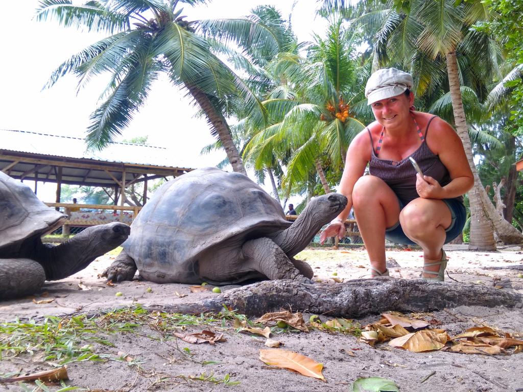 Schildkröte auf Curieuse