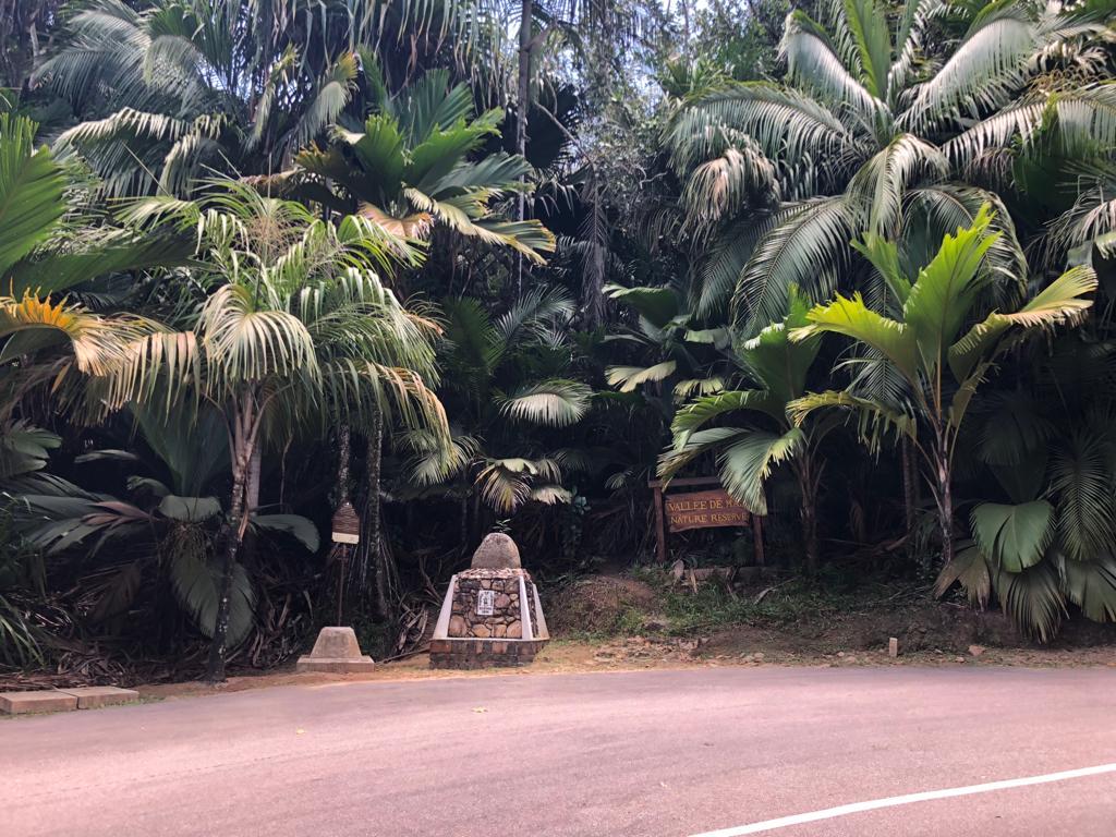 Vallée de Mai, Praslin