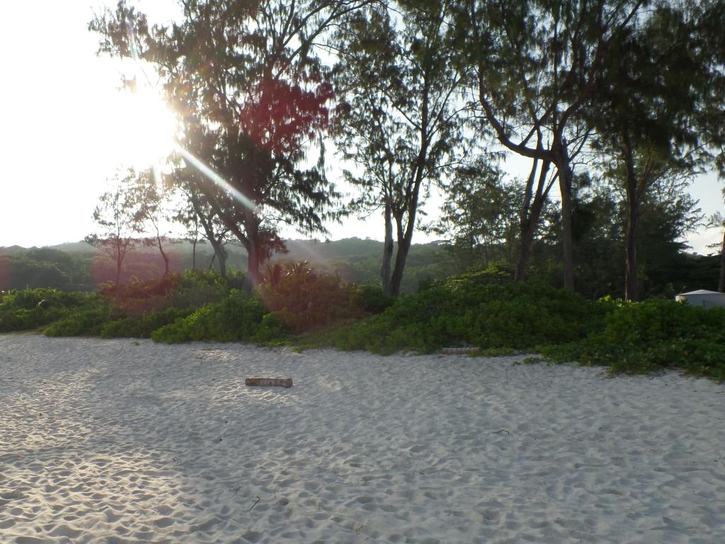 Grand Anse, La Digue