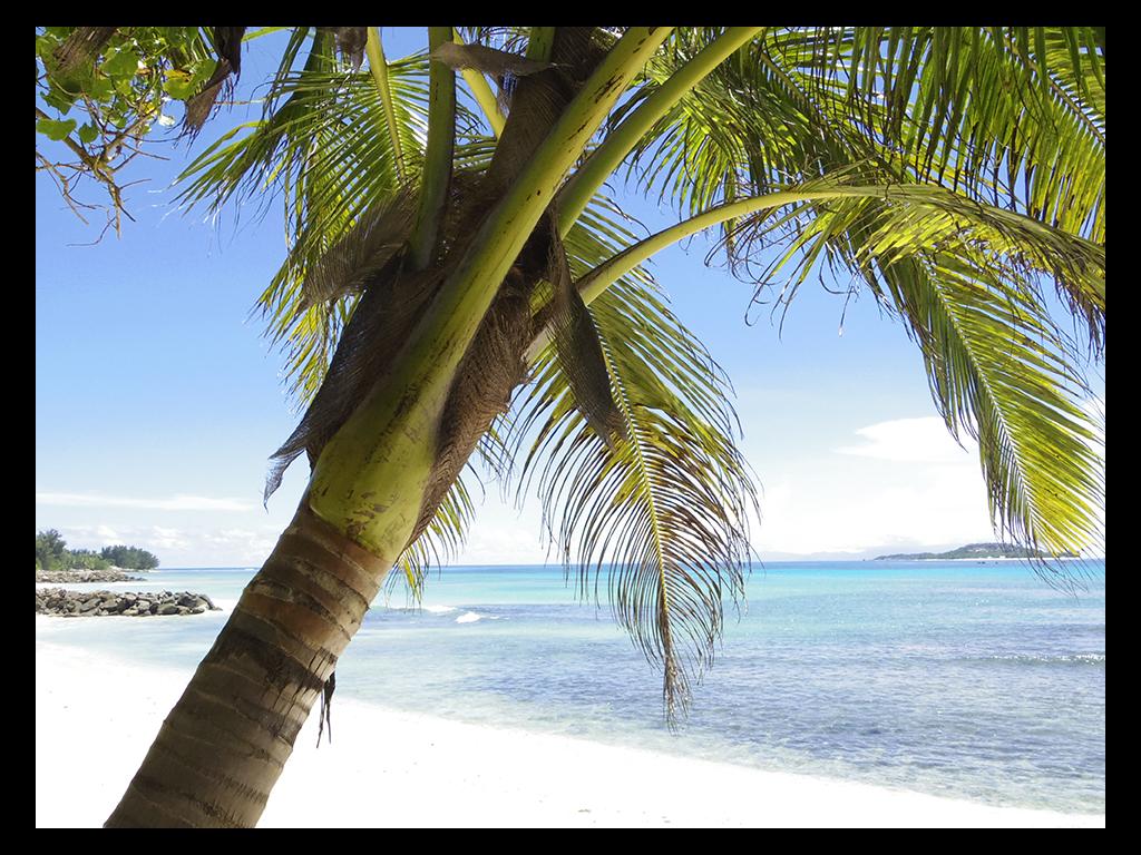 Anse Kerlan, Praslin