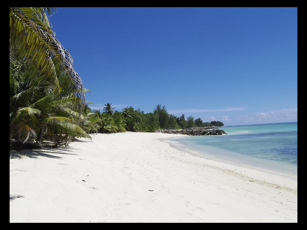 Strand auf Praslin