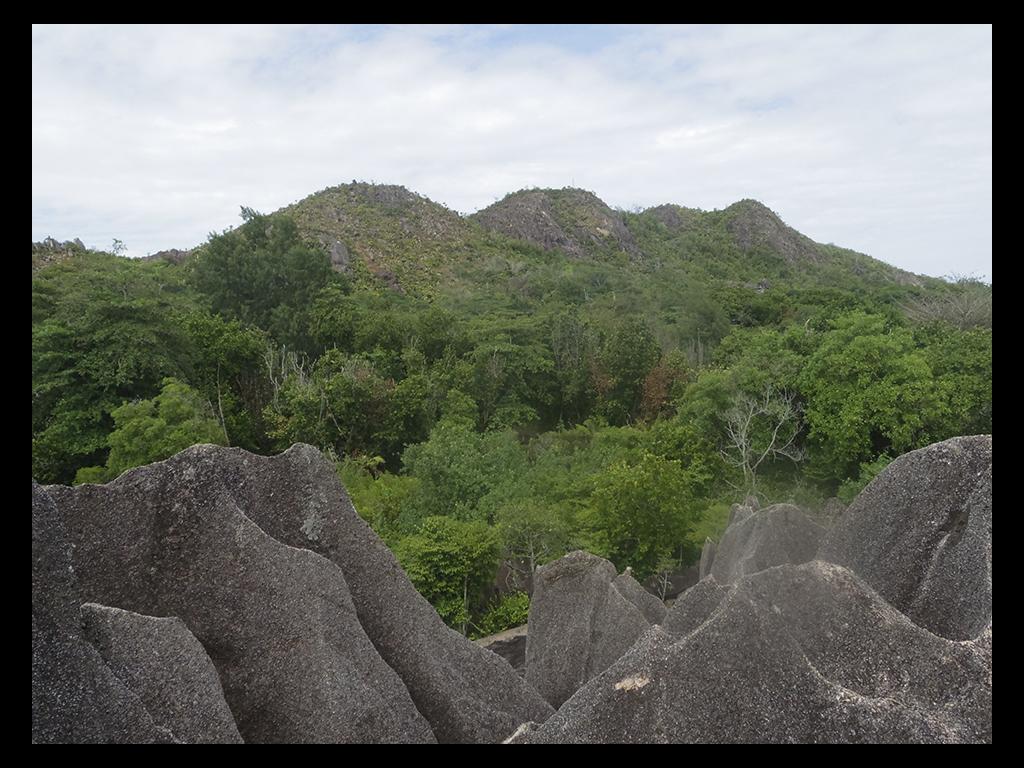 Vallée de Mai