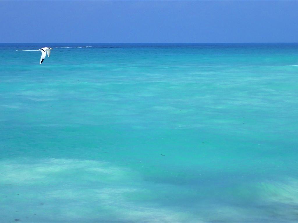 Strand vor dem Hotel, Praslin