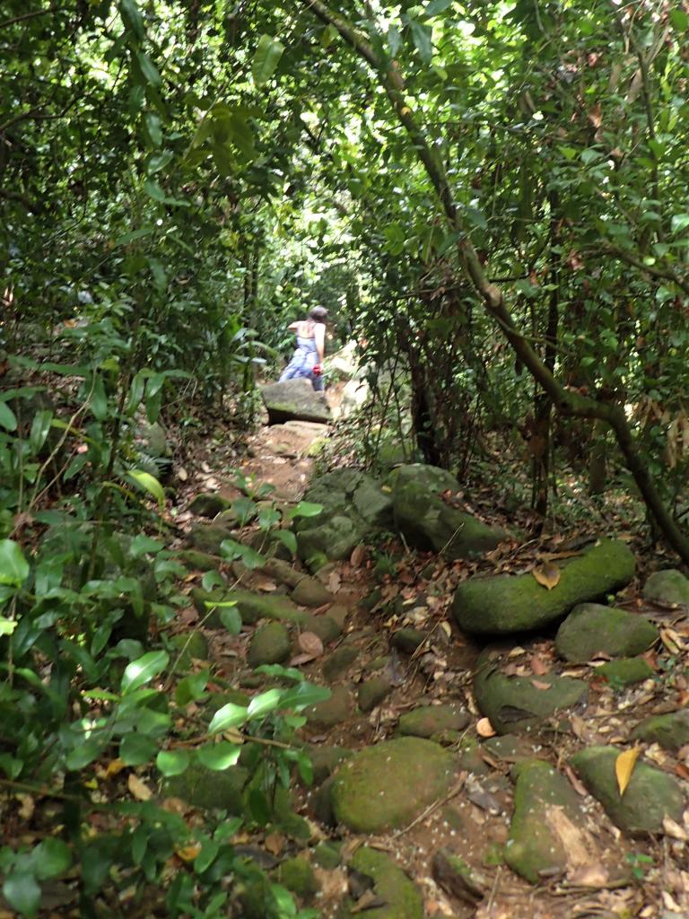 Wanderweg, Cerf Trail