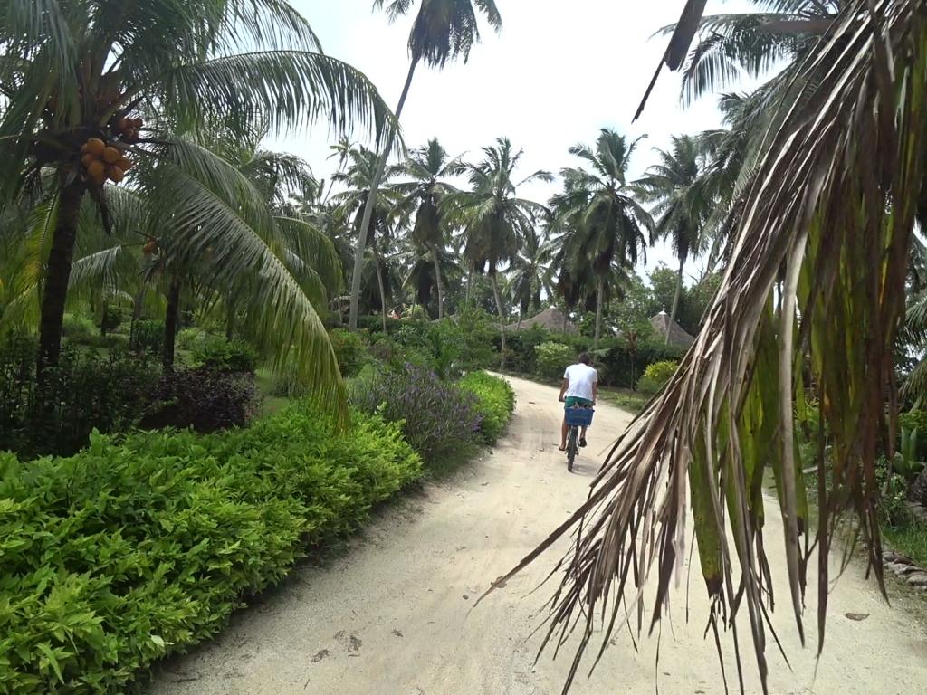 Radfahren auf La Digue