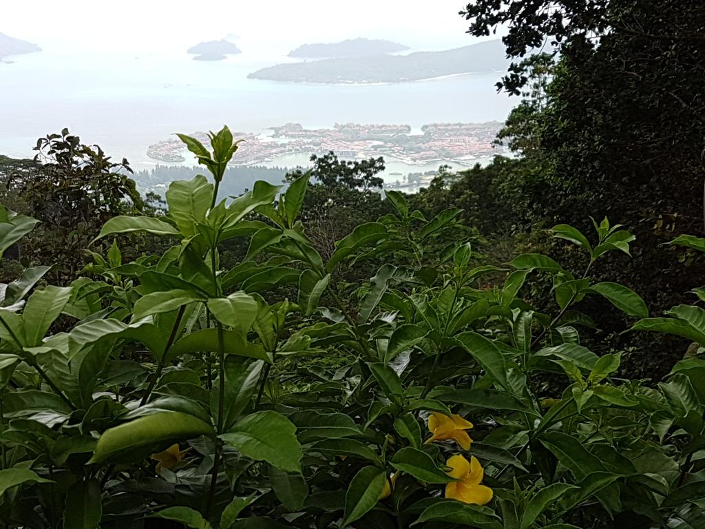 Ausblick auf Mahé