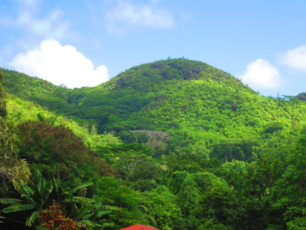 Mahé´s Berge und Dschungel