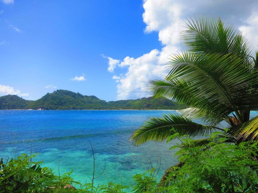 Strand auf Mahé