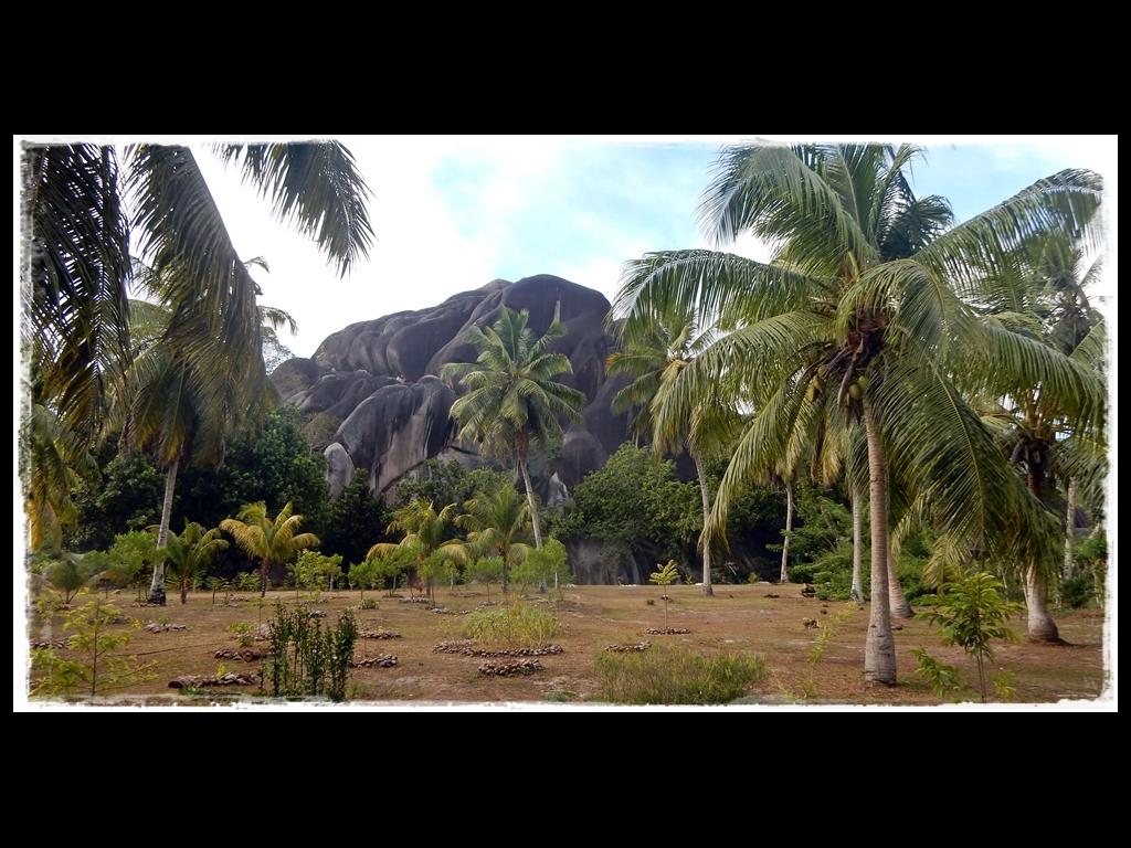 L'Union Estate, La Digue