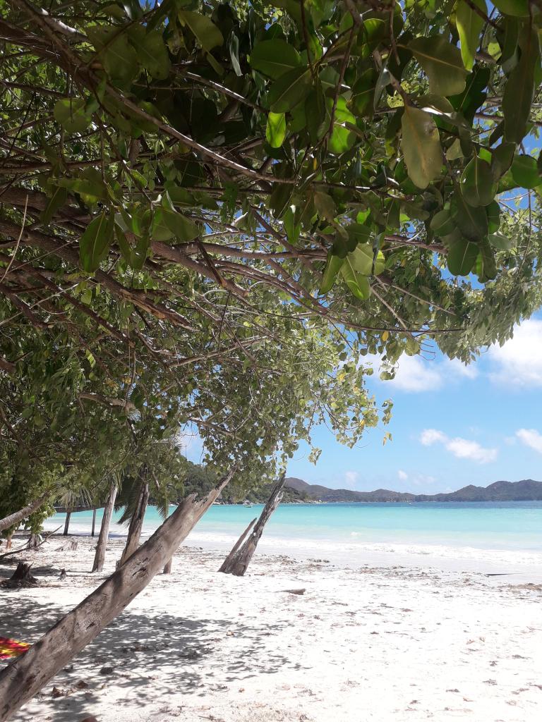 Côte D'or, Praslin