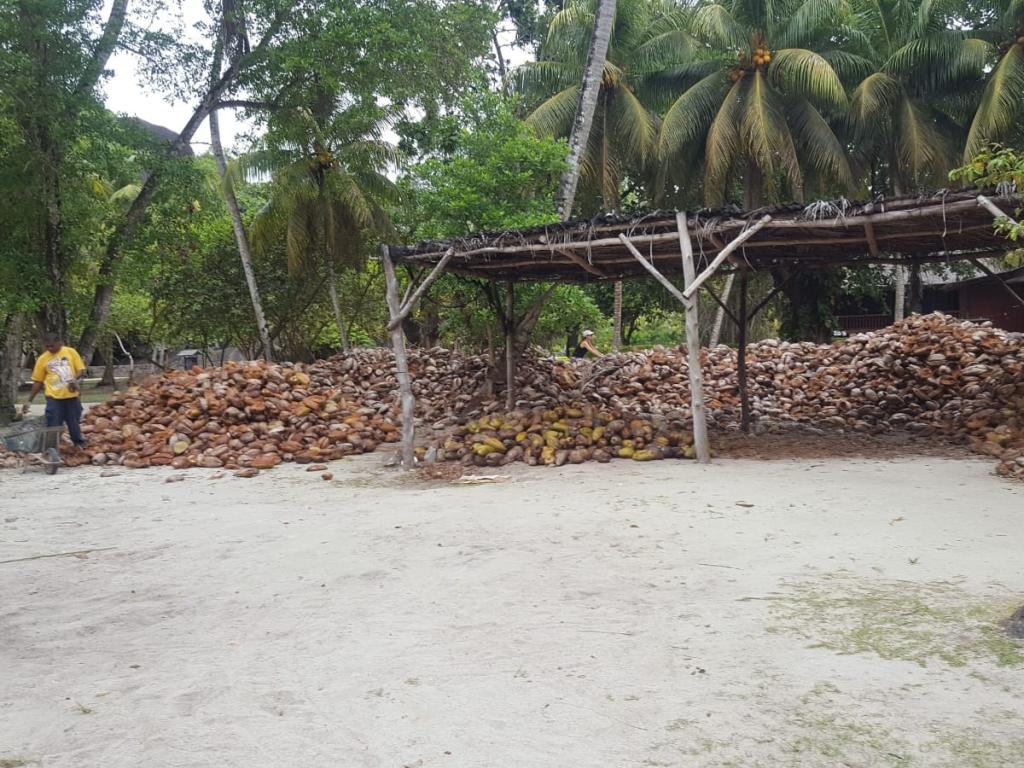 Parc de l'Union, La Digue