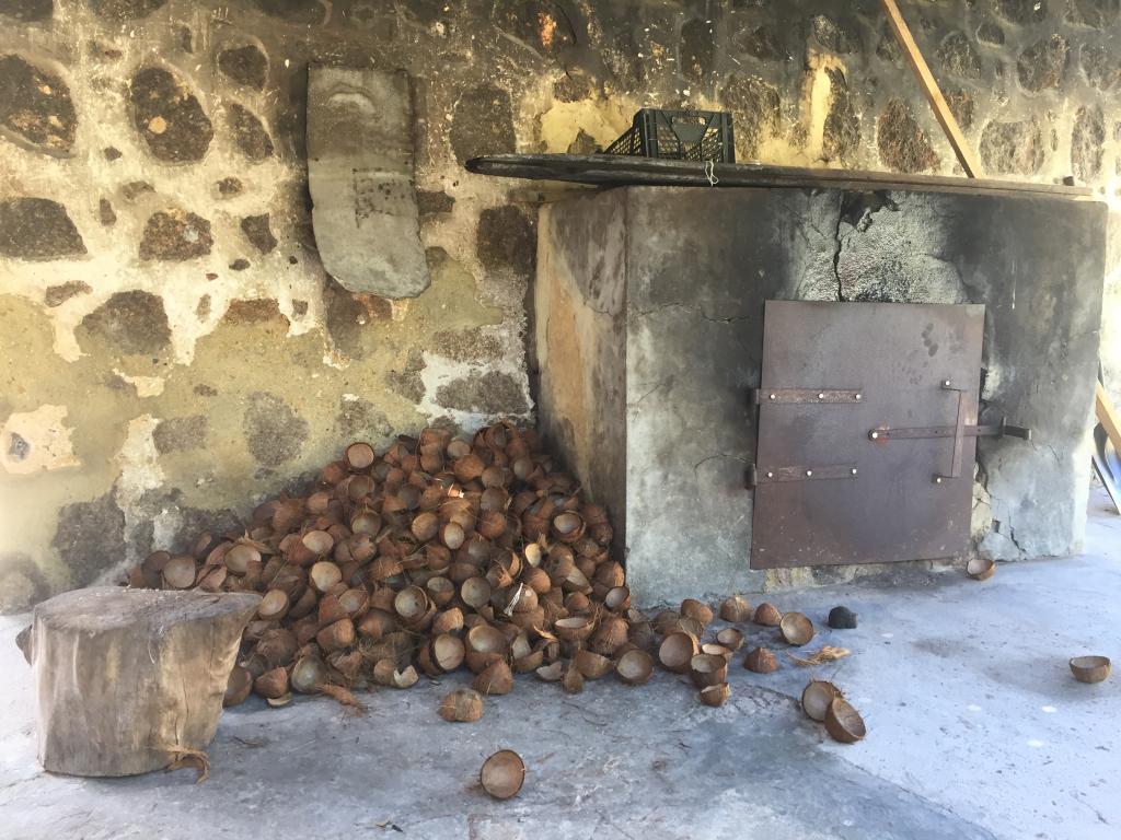 Lavorazione del cocco e tartarughe giganti