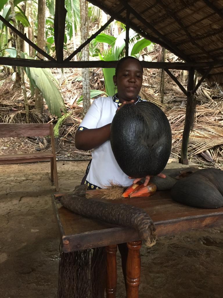 Valle de Mai e Coco de Mer