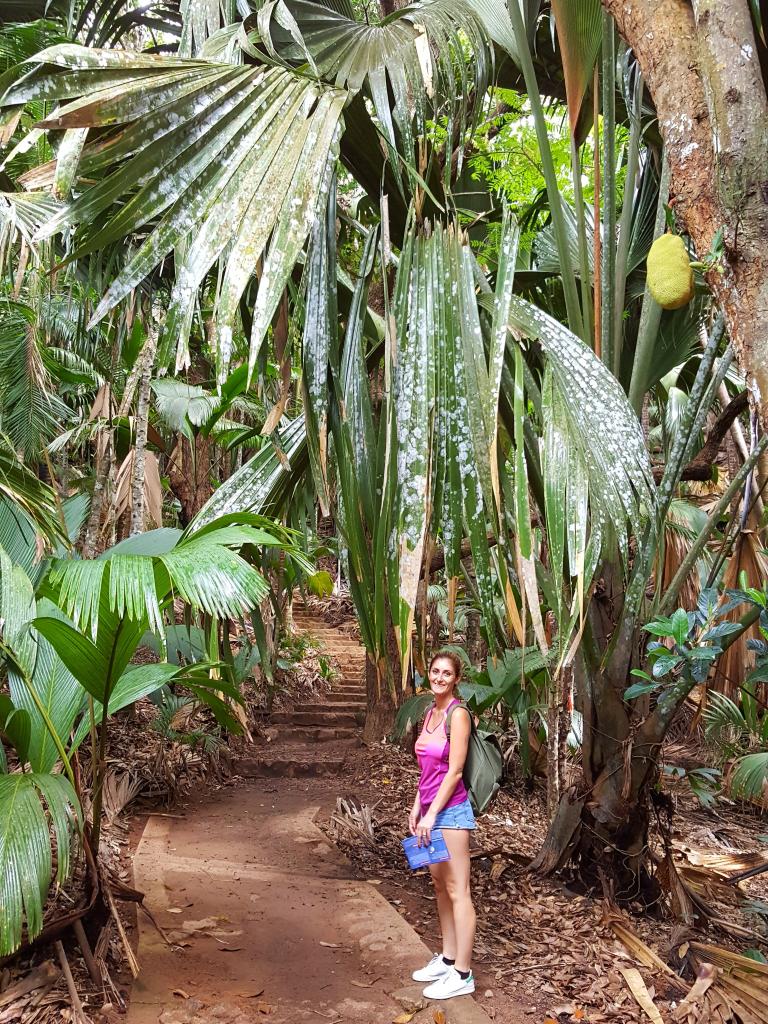 Praslin, Vallee de Mai