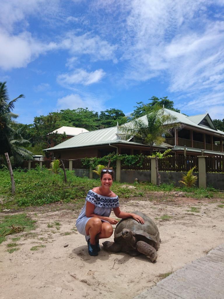 Streicheleinheiten an der Anse Severe