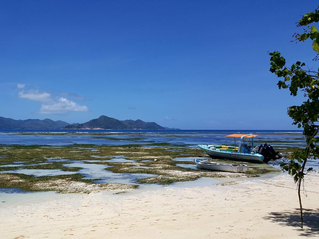 Returning from Anse source d’argent