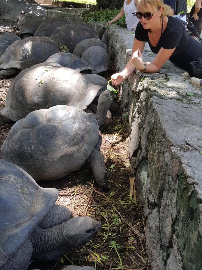 Feeding tortoises at Union Estate Park