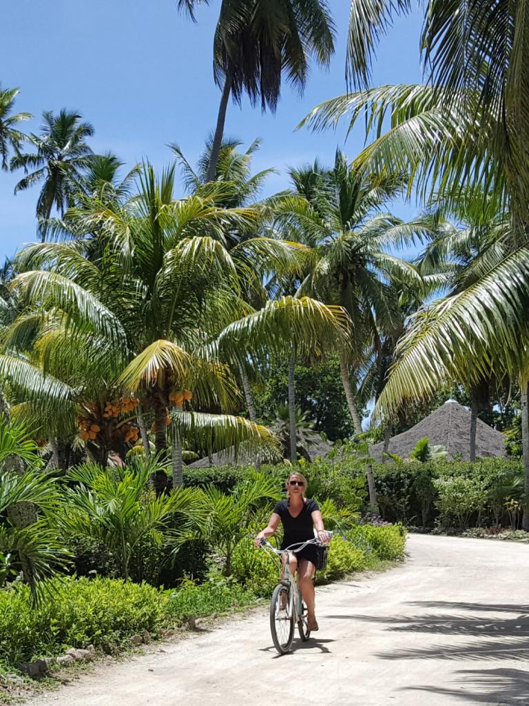 Cycling back to the Orchid apartment