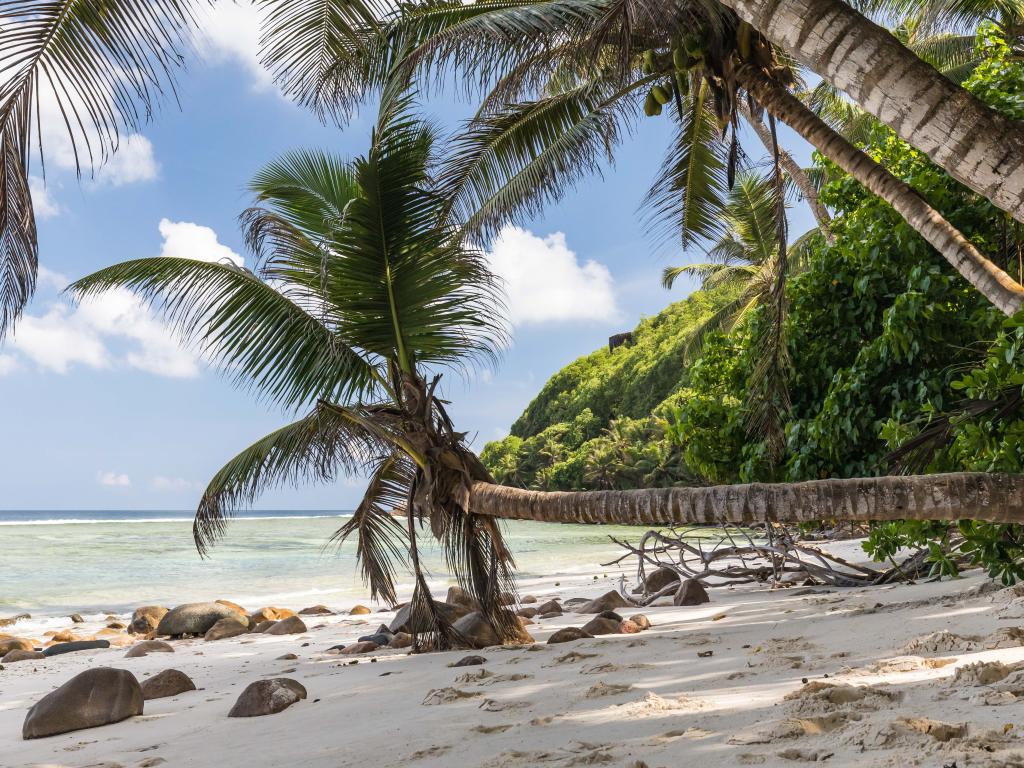 Anse Baleine