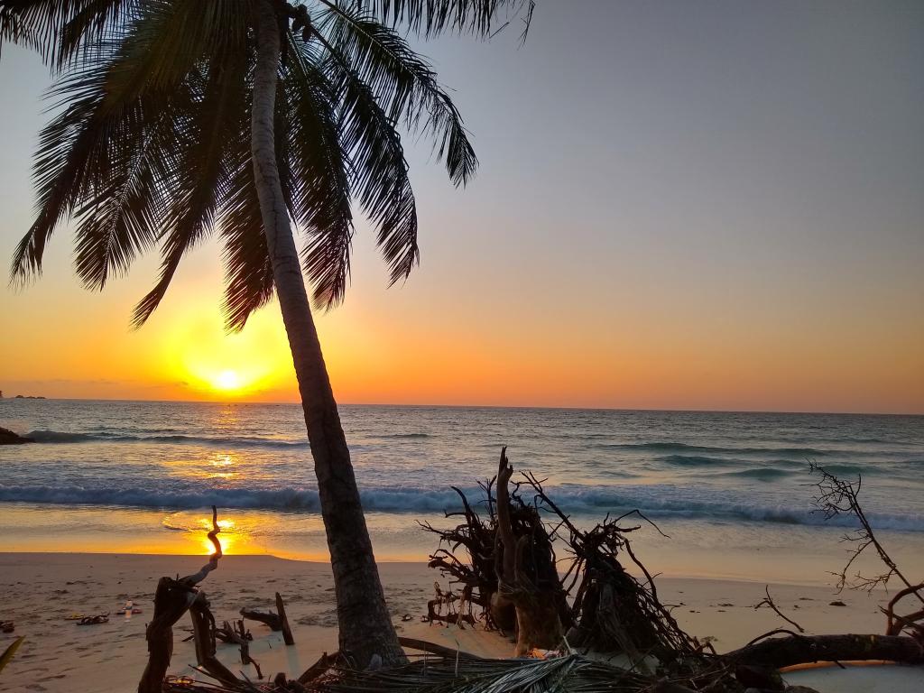 Anse Kerlan, Praslin