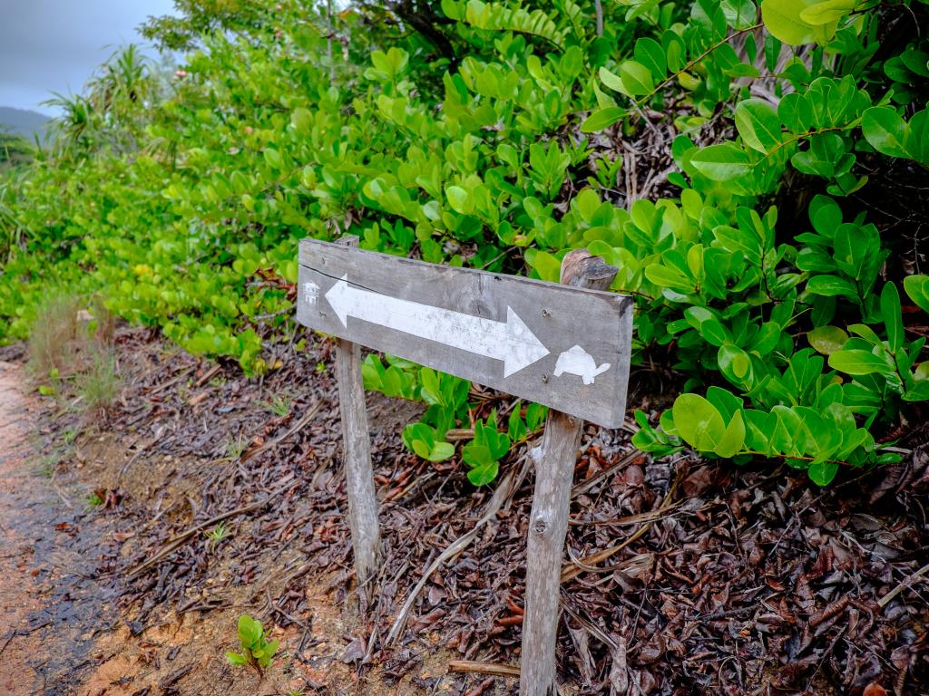 Wanderung auf Curieuse