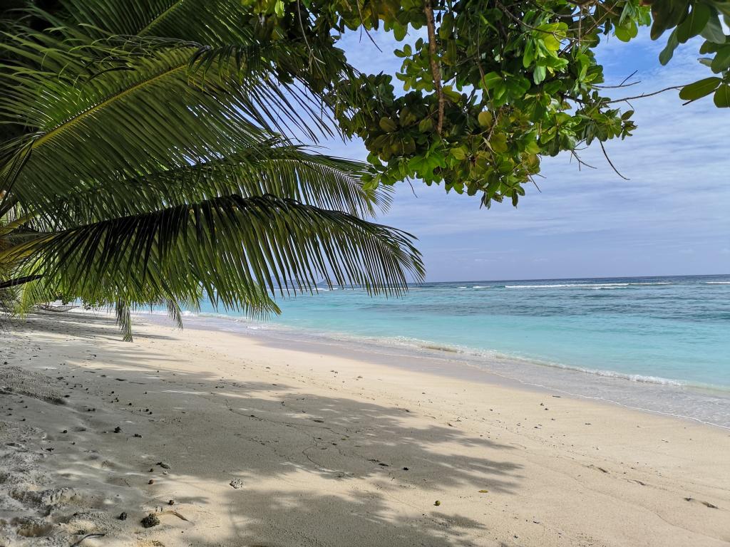 Strand auf Silhouette