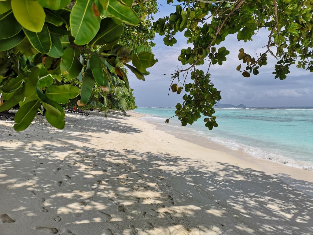 Strand auf Silhouette