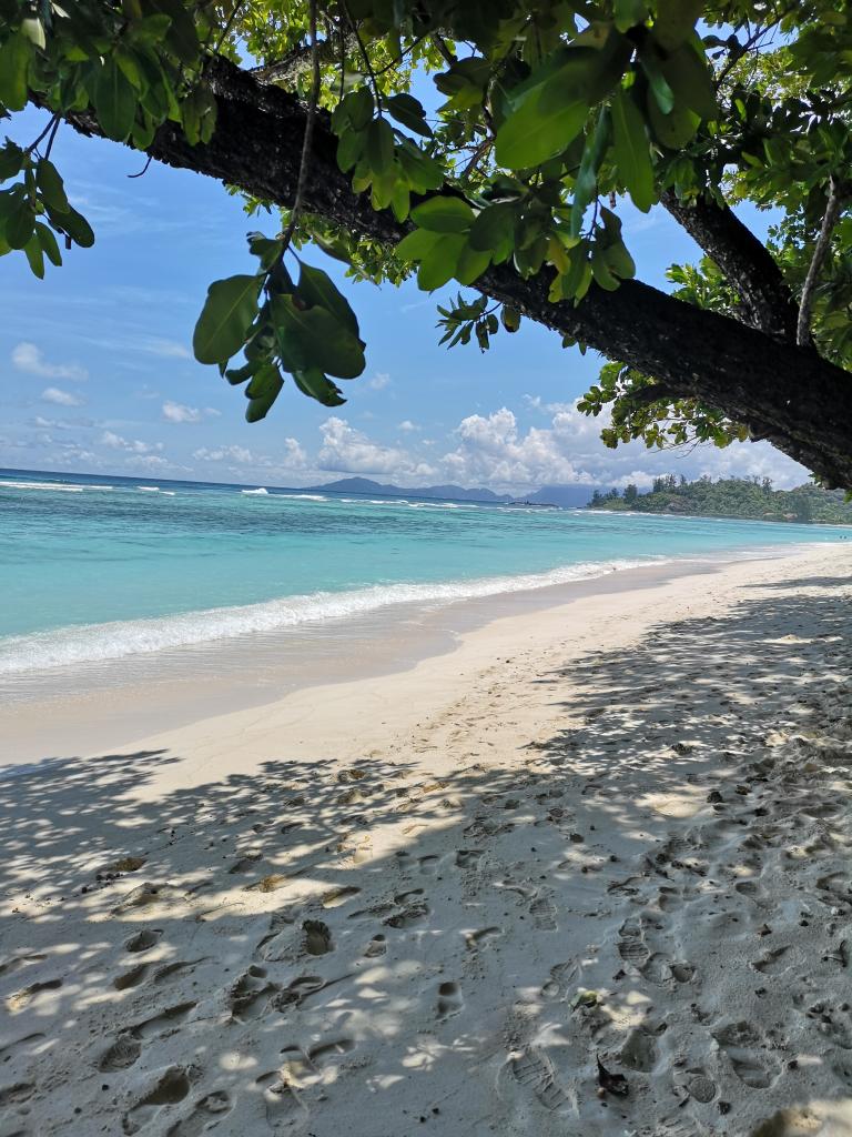 Sand, Sonne, traumhaftes Meer