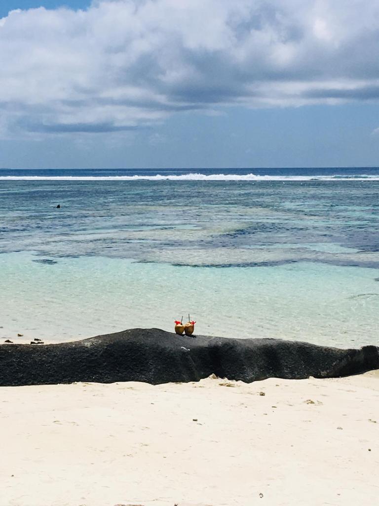 Kokosnuss am Strand