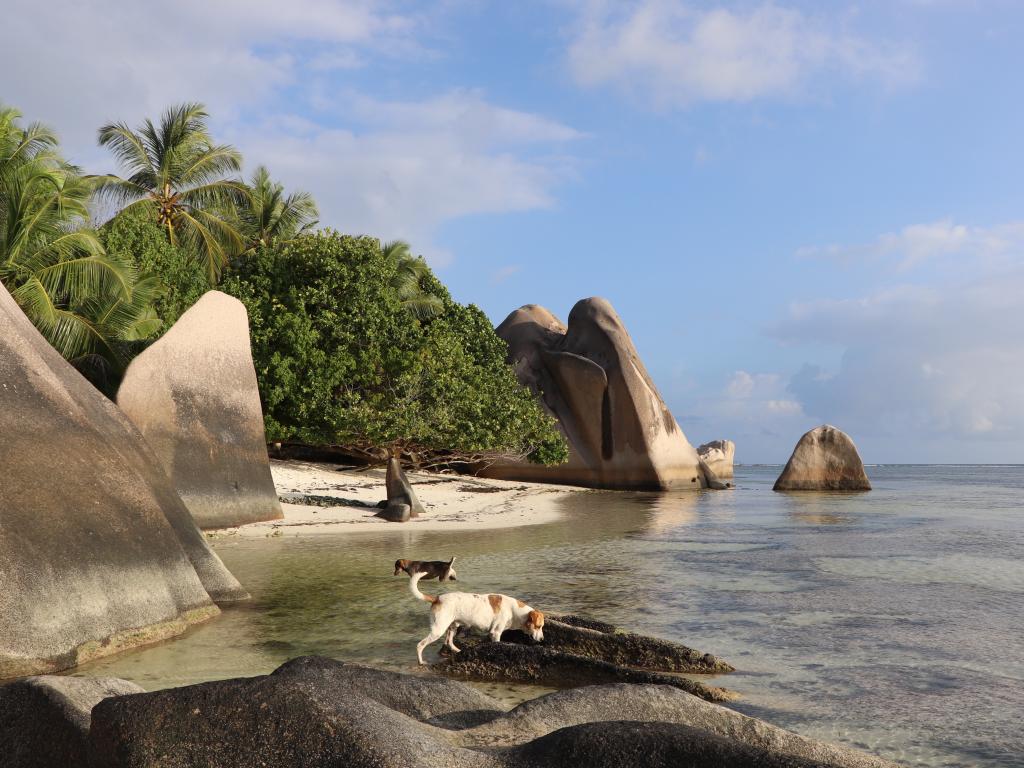 Anse Source d'Argent