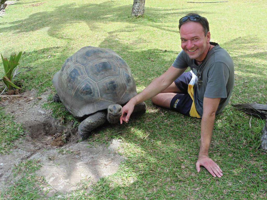 Riesenschildkröte auf Curieuse