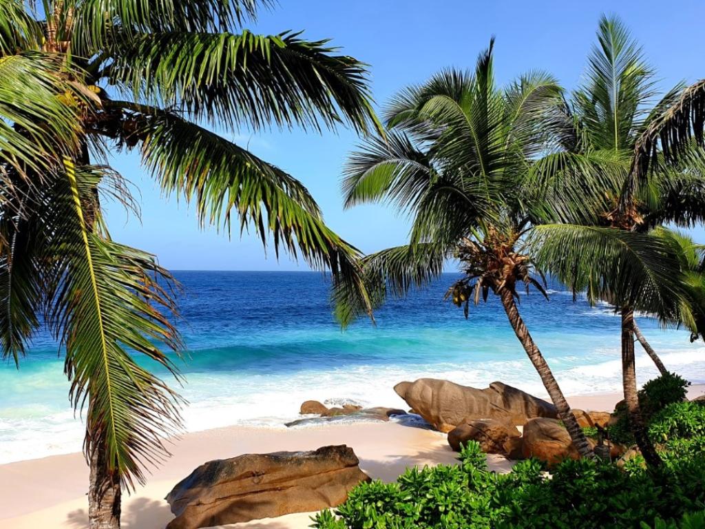 Blick auf den Anse Intendance von der Terrasse des Banyan Tree Resorts aus