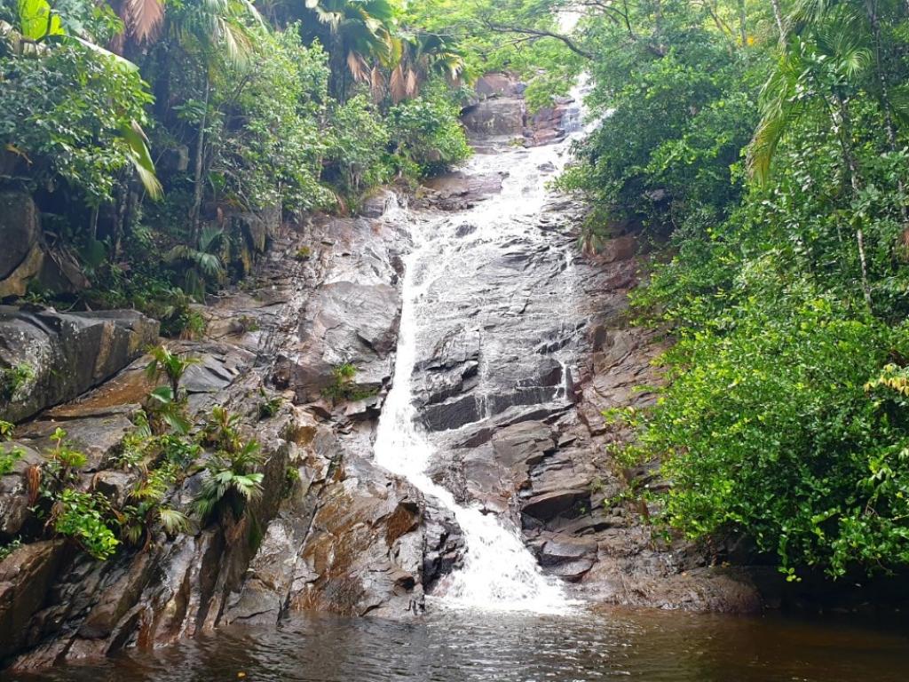 Der Sauzier Waterfall am Morne Seychelles Nationalpark