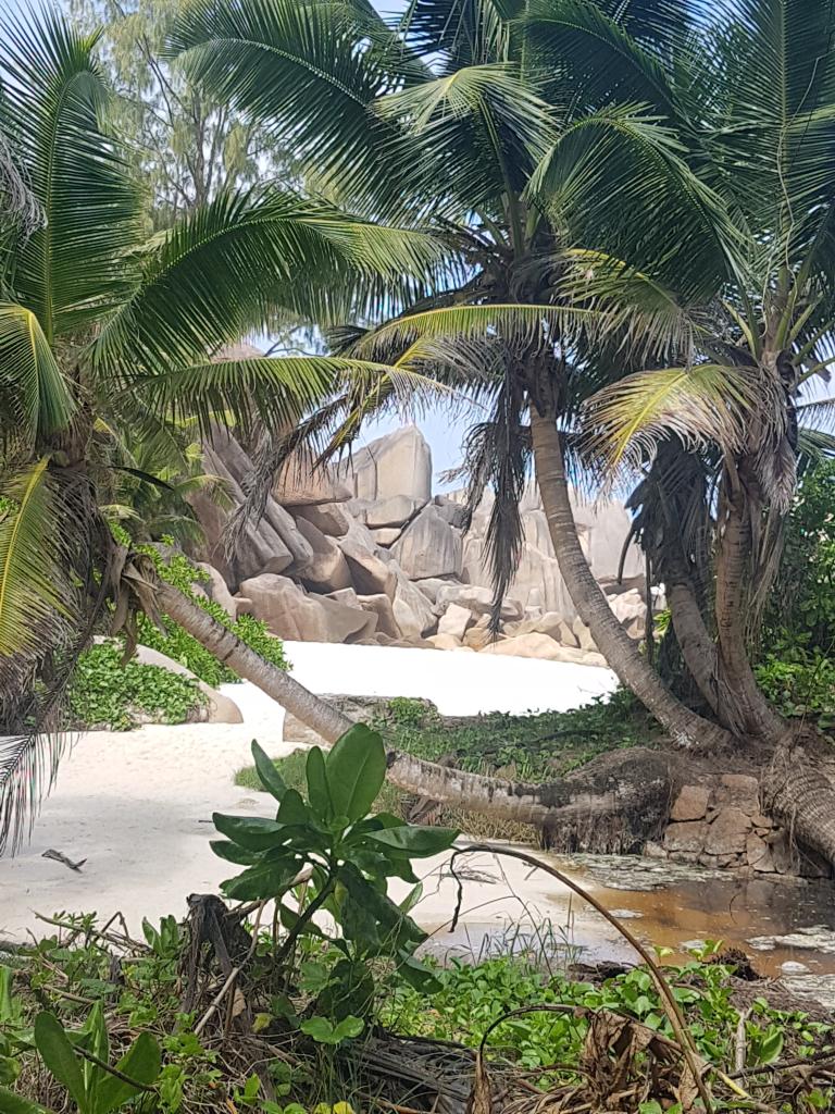 Grand Anse, la Digue