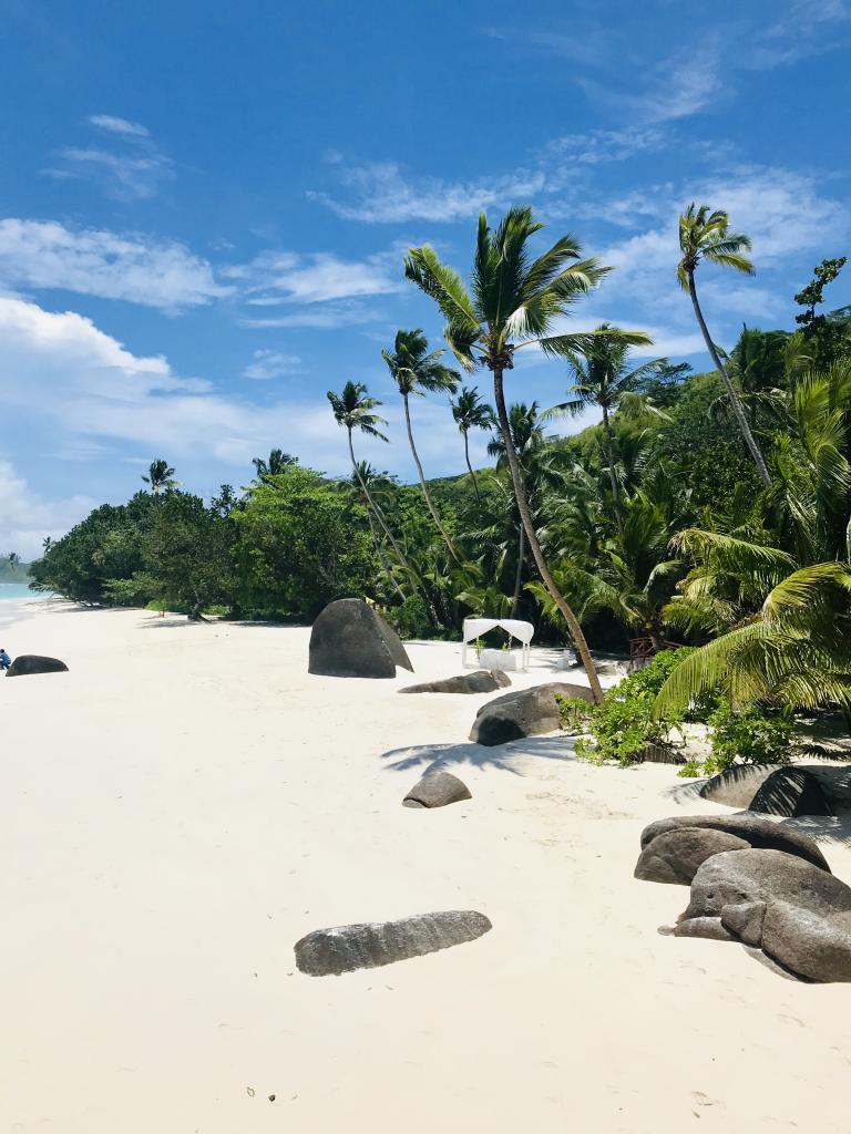 Strand auf Silhouette