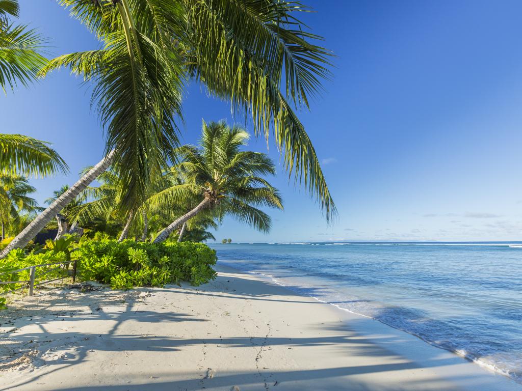 Anse La Réunion frühmorgens