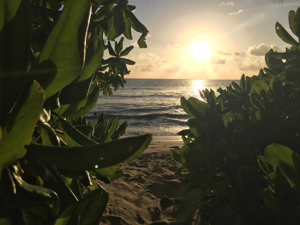 Sonnenuntergang Anse Takamaka, Mahé