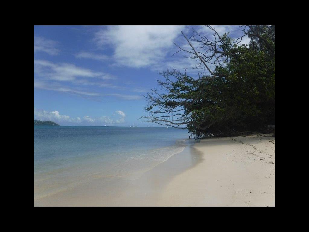 Strand „Villa de Cerf“ auf Le Cerf