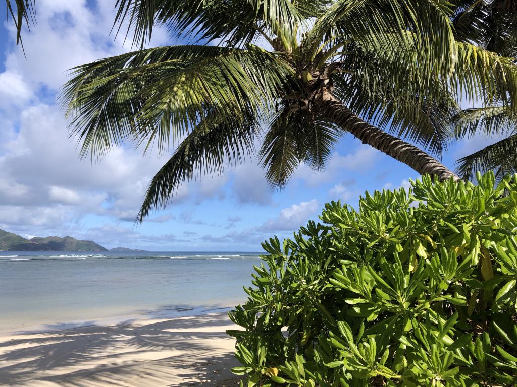 Strand vom Hotel La Digue Island Lodges