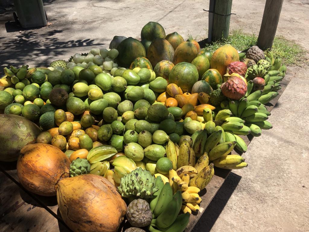 Anse Volbert, Praslin