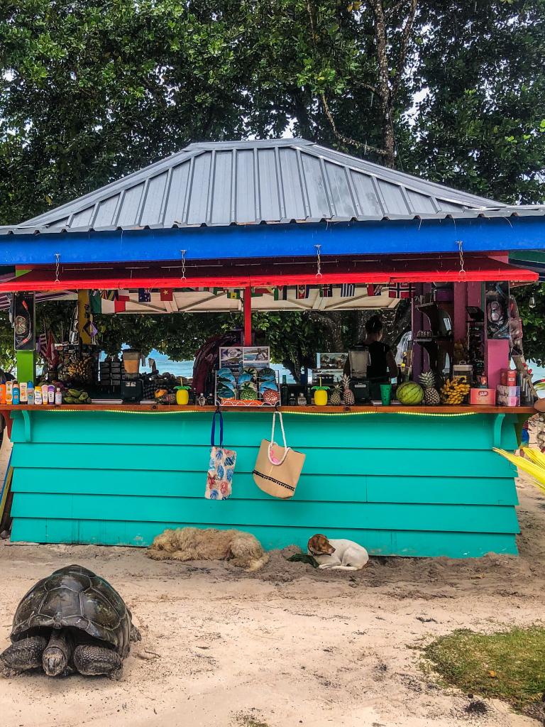 Bikini Bottom Bar auf La Digue