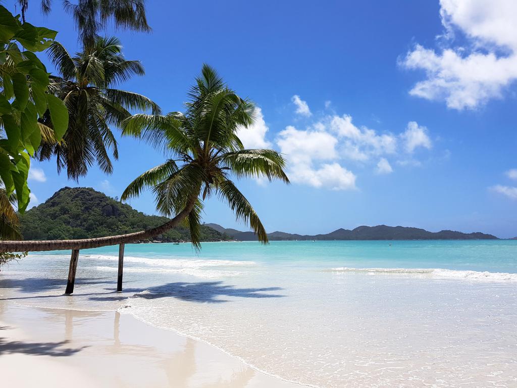 Cote D'Or, Praslin