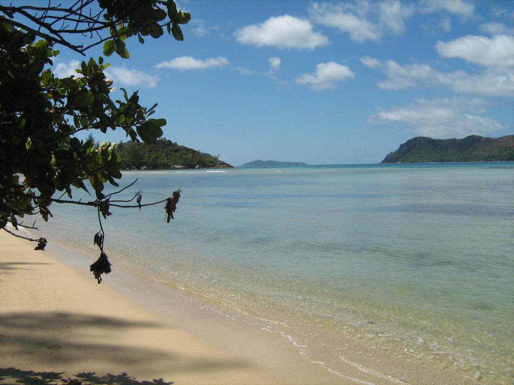 Near the villa, <beach>73|Anse La Blague</beach>