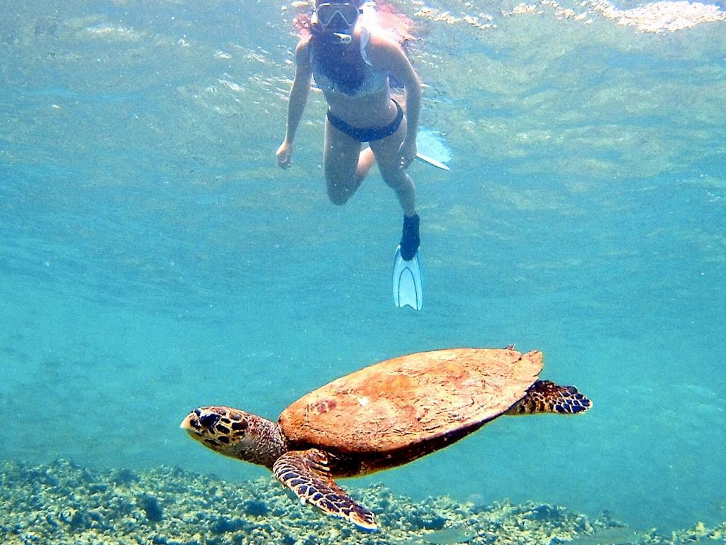 Curieuse Marine National Park