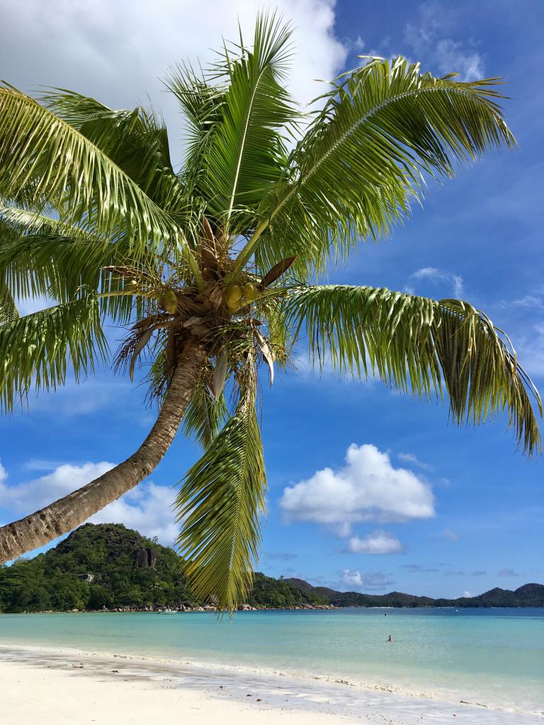 Anse Volbert (Cote d'Or), Praslin