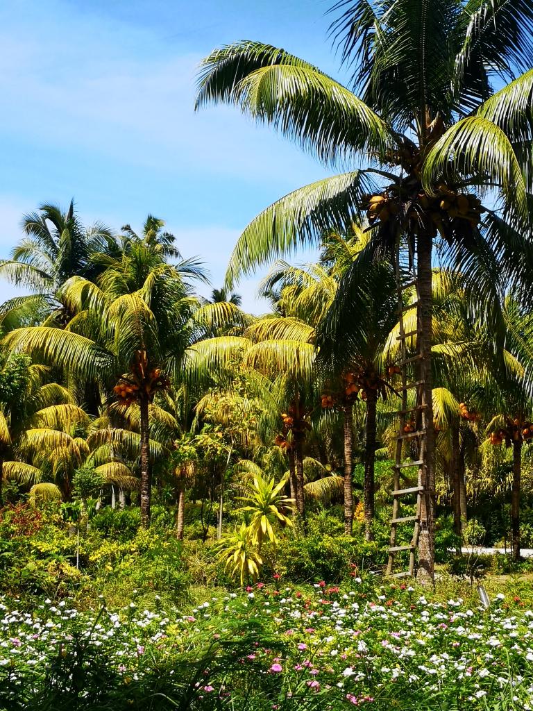 L'Union Estate Park, La Digue