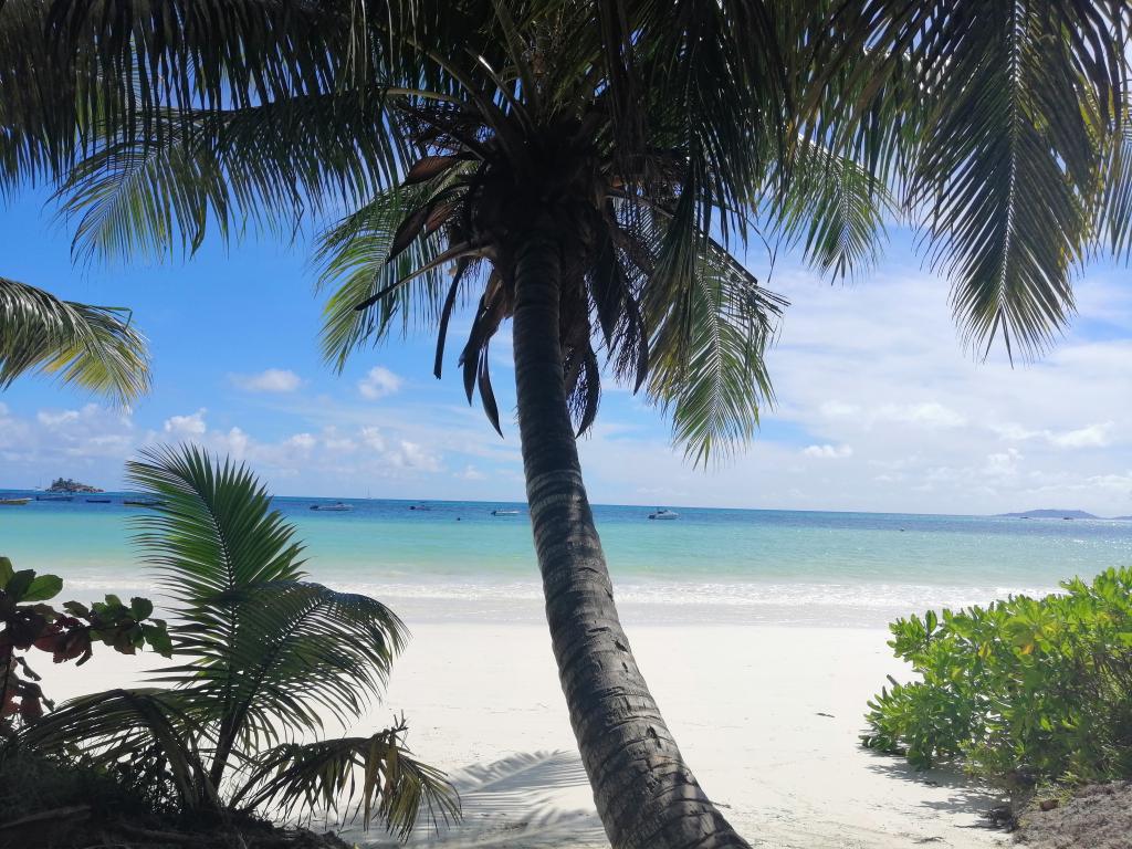 Anse Georgette, Praslin